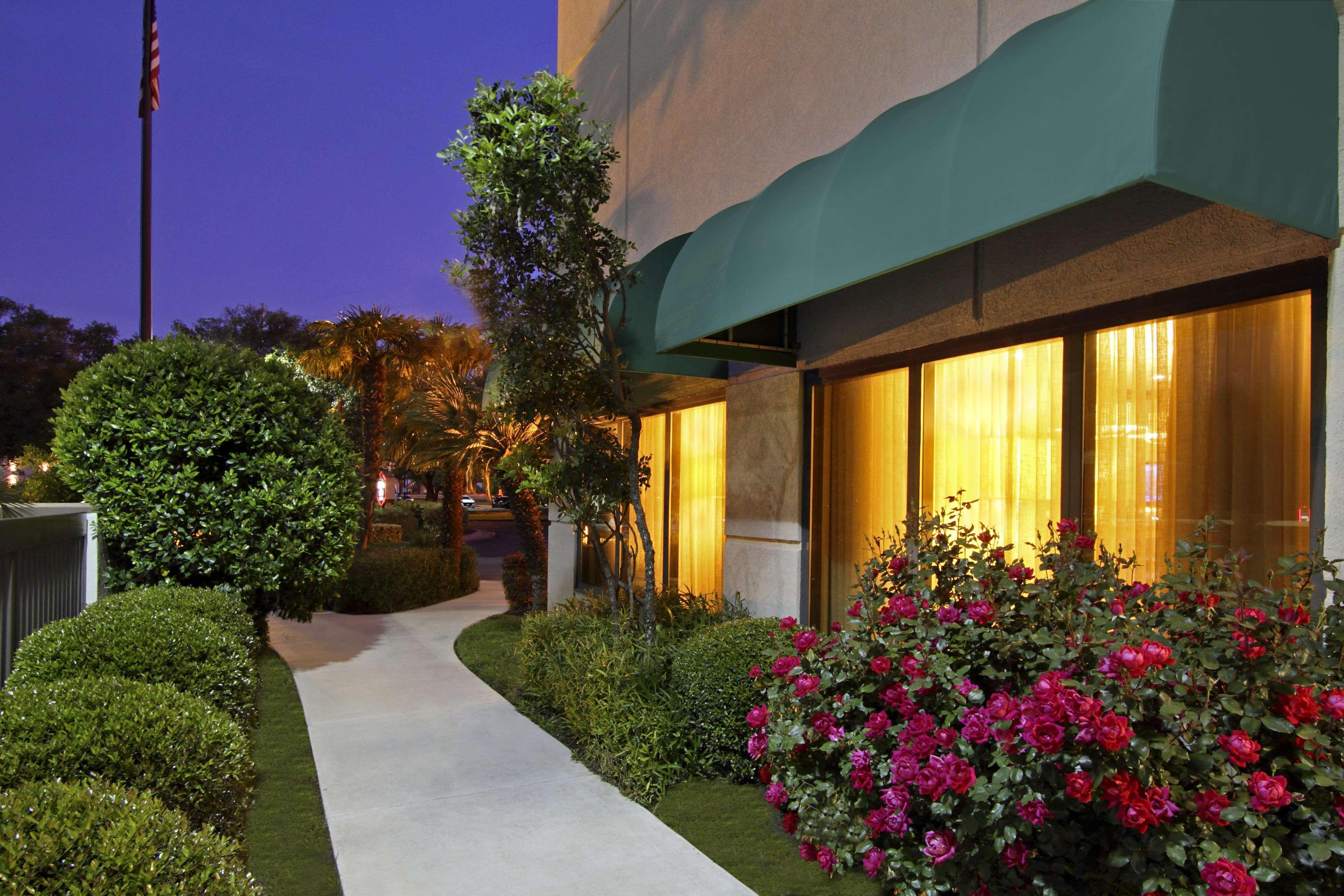 Hampton By Hilton Austin South - I-35 & Ben White Hotel Ngoại thất bức ảnh